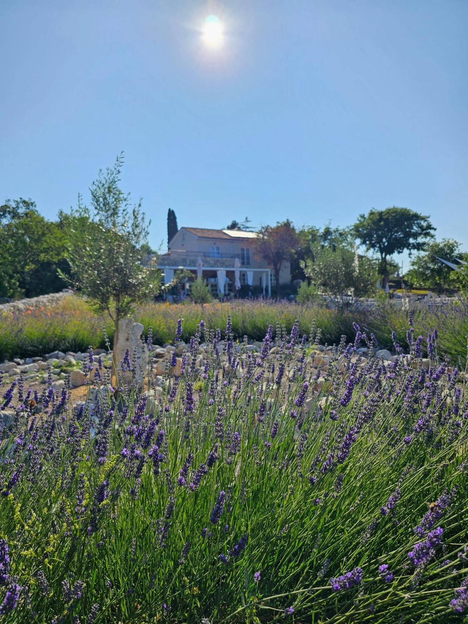 Boutique Resort Osma - Adults Only Malinska Exteriér fotografie